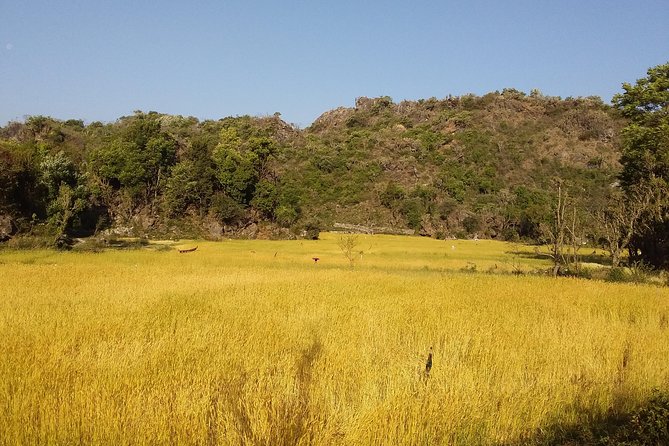 Patho Village Trek - a Short Trek ( 4 Hrs ) in Rishikesh - Trek Details