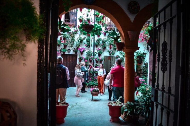 Patios of Cordoba Walking Tour - Tour Details