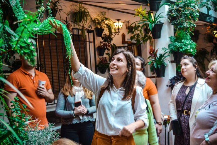 Patios of Cordoba Walking Tour - Experience Highlights