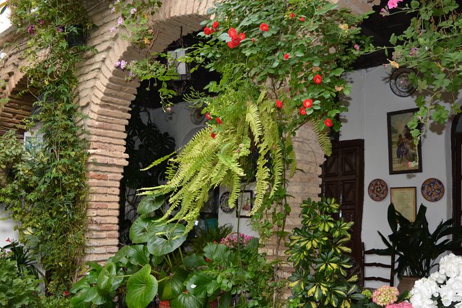 Patios & Perfums of Cordoba Festival Tour - Pricing and Booking