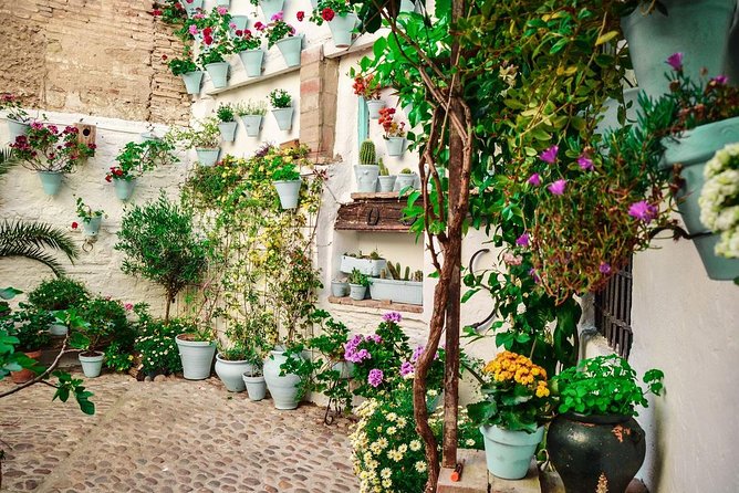Patios Tour in Cordoba - Tour Highlights