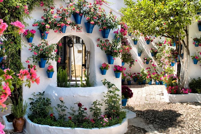 Patios Tour in Cordoba - Viana Palace History