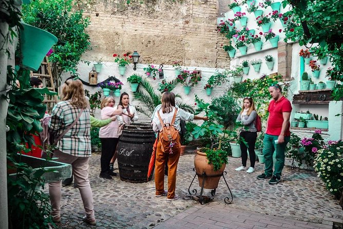 Patios Tour in Cordoba - Traveler Reviews