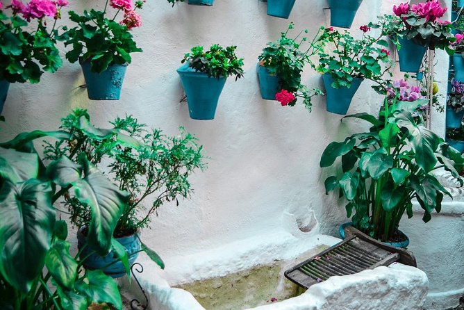 Patios Tour in Cordoba - Pricing and Booking Details