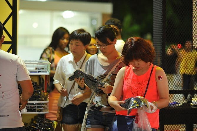 Patong Boxing Stadium - Practical Details and Value