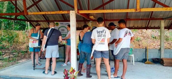 Patong: Ethical Elephant Eco Guide Walk & Forage Tour - Guide and Tour Ratings