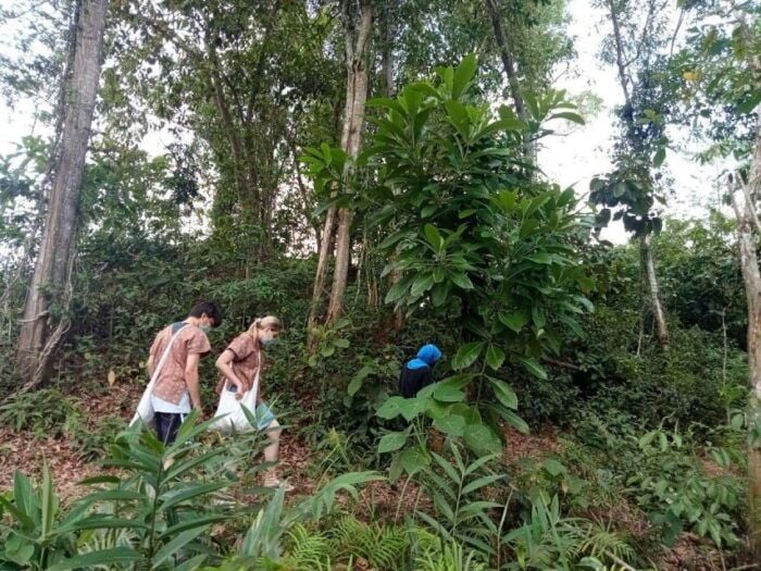 Patong: Ethical Elephant Eco Guide Walk & Forage Tour - Making the Most of Your Visit