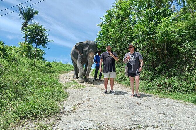 Patong Highlight Elephant Sanctuary with Guide Tour - Good To Know