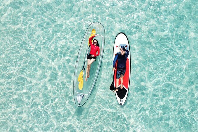 Pattaya Beach Water Activities Adventure Tour from Bangkok - The End of the Day: Feeding the Geese & Return Trip