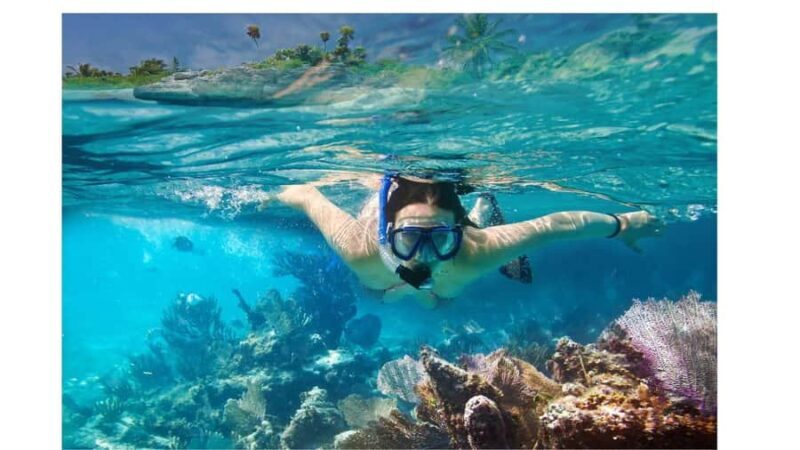 Pattaya Coral Island Adventure  Pattayas BestBeach Escape - Good To Know