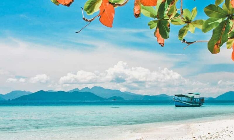 Pattaya: Coral Island (Koh Larn) Day Trip with Seafood Lunch - Who Should Consider This Tour?