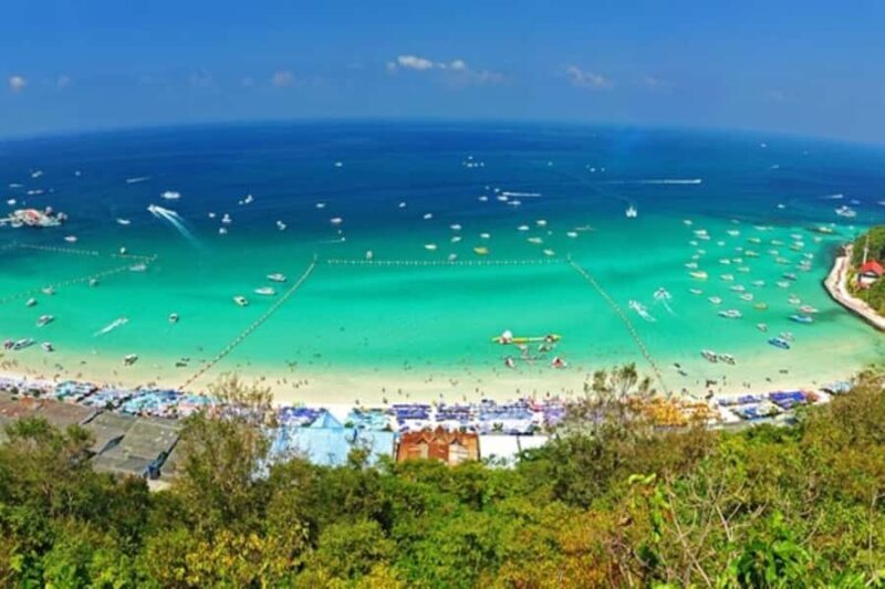 Pattaya: Coral Island Speed Boat, Sea Walker and Lunch - Who Might Want to Pass on This Tour