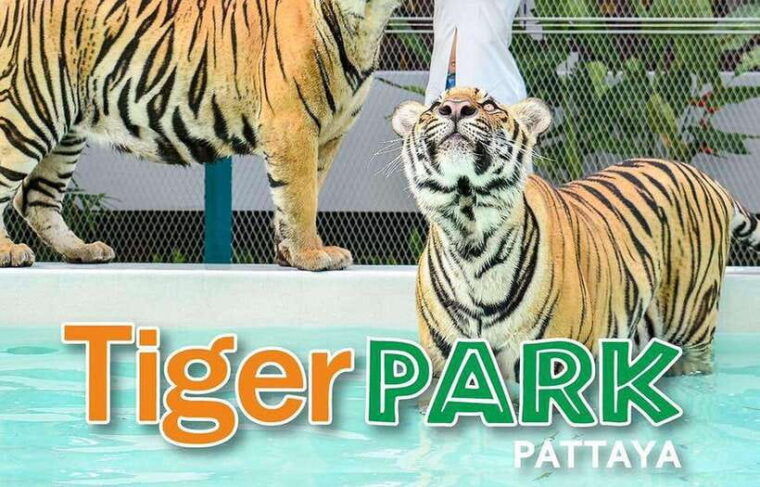 Pattaya Custom Tour Private Car Charter From Bangkok - Convenient Hotel Pickup