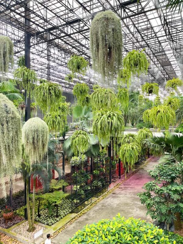 Pattaya Discovery Private Tour from Bangkok - FAQ