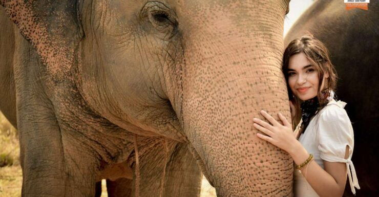 Pattaya: Elephant Jungle Sanctuary Feeding Experience - Ticket Details