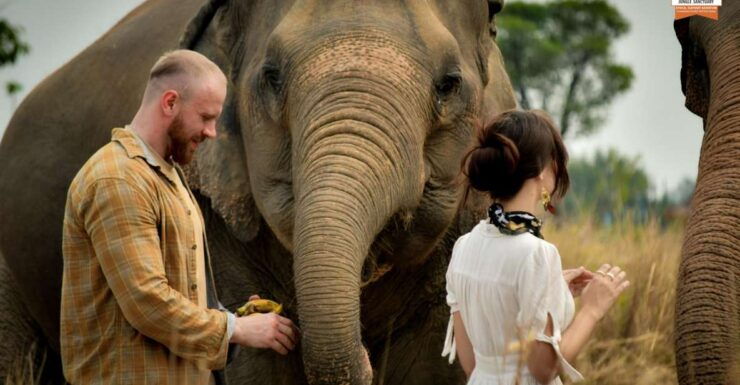 Pattaya: Elephant Jungle Sanctuary Half-Day Tour With Meal - Activity Details
