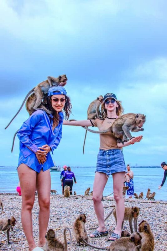 Pattaya: Exclusive 3-Island Catamaran Tour with Buffet Lunch - Why This Tour Is a Great Value