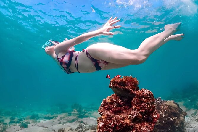 Pattaya : Finding Nemo Tour by Private Speedboat - Private Speedboat Experience