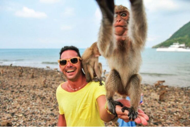 Pattaya: Full Day Island Hopping by Catamaran With Lunch - Activity Details