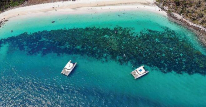 Pattaya: Full Day Island Hopping by Catamaran With Lunch - Yacht Details and Service