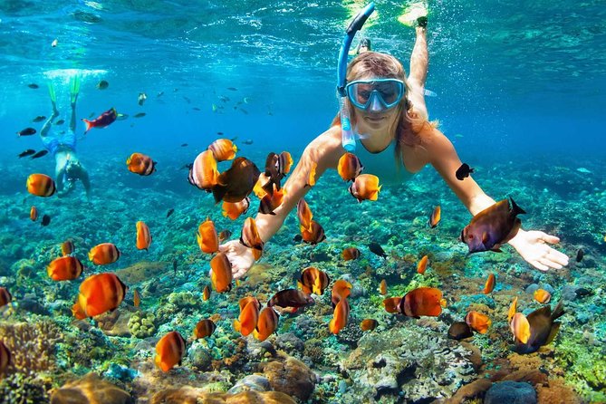 Pattaya : Full Day Yacht Catamaran Island Tour and Snorkeling With Lunch - Booking Information