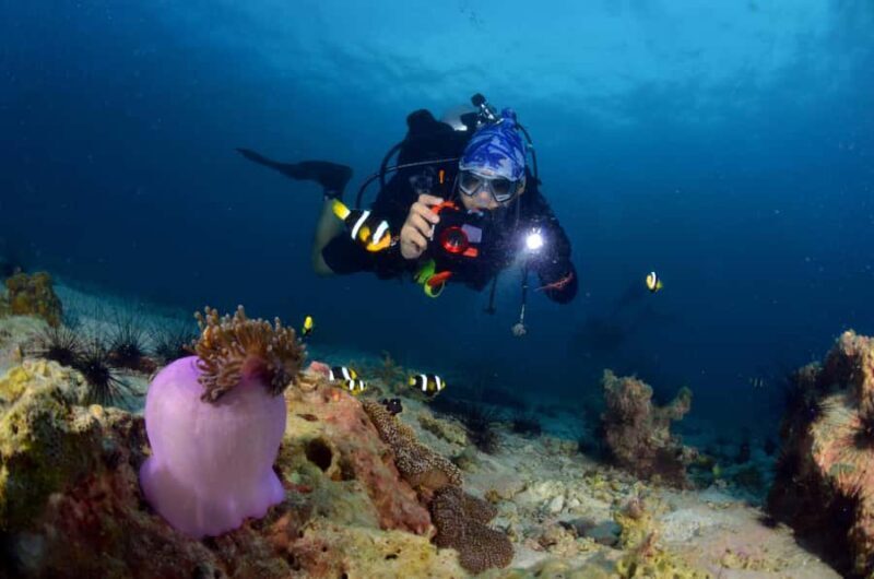 Pattaya: Fun Dive 2 Ocean Dives and Lunch (Certified Diver) - Final Thoughts