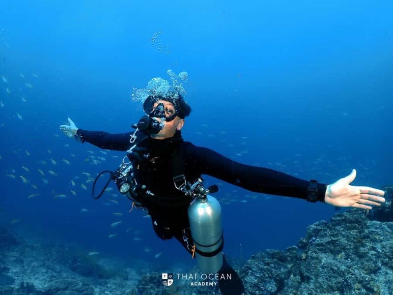 Pattaya: Fun Dive 2 Ocean Dives and Lunch (Certified Diver) - Exploring Pattaya’s Underwater World
