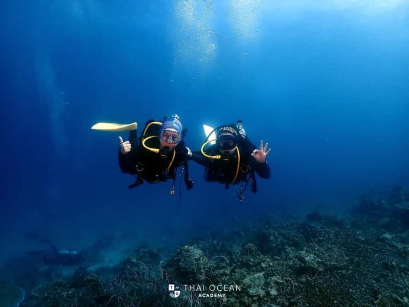 Pattaya: Fun Dive 2 Ocean Dives and Lunch (Certified Diver) - Why This Tour Offers Good Value