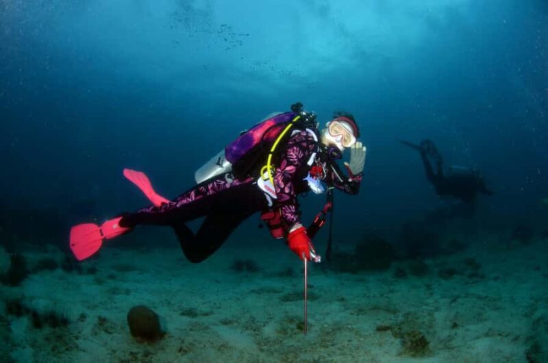 Pattaya: Fun Dive 2 Ocean Dives and Lunch (Certified Diver) - Final Verdict