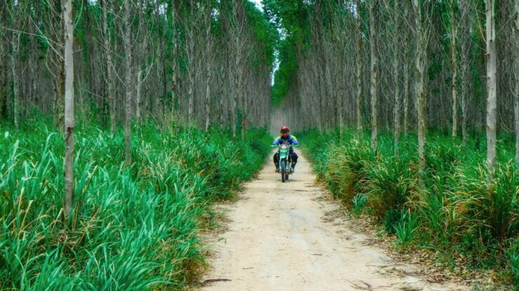 Pattaya: Half-Day Guided Enduro Tour With Meal - Experience Highlights