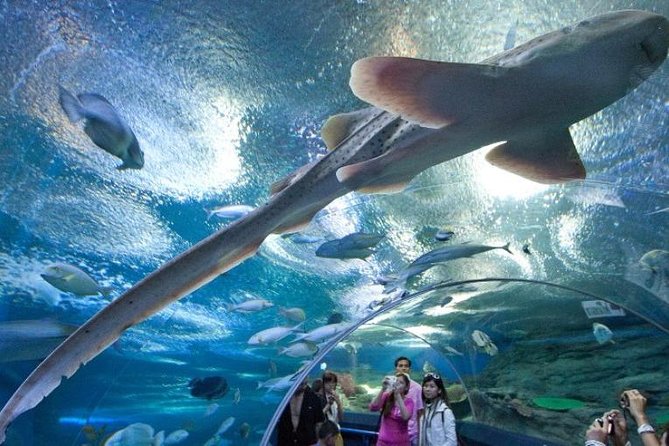 PATTAYA: Join Tour Under Water World Pattaya - Experience at Underwater World Pattaya