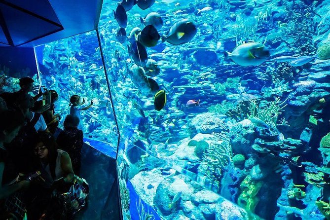 PATTAYA: Join Tour Under Water World Pattaya - The Sum Up
