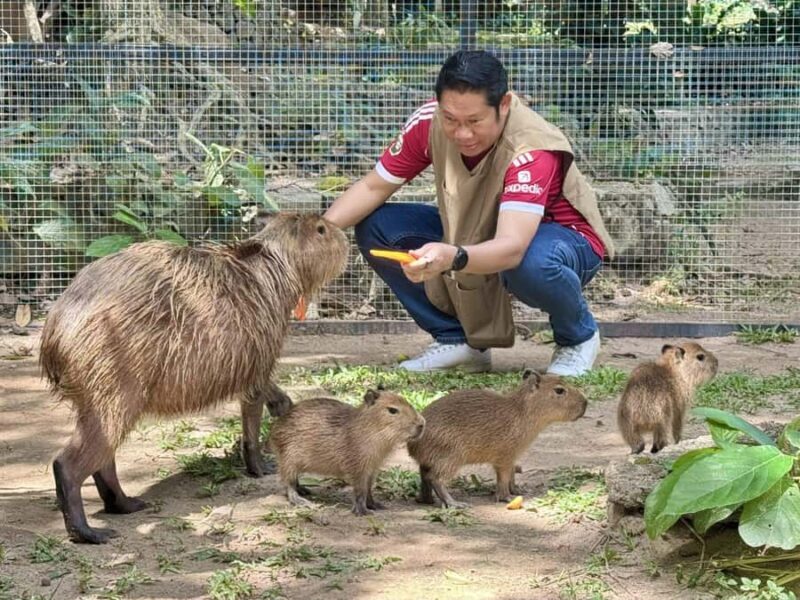 Pattaya: Khao Kheow Zoo & J-Park Japanese Village Day Trip - Practical Details and Value