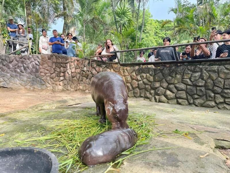 Pattaya: Khao Kheow Zoo & J-Park Japanese Village Day Trip - Good To Know