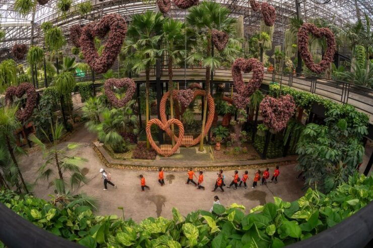 Pattaya: Nong Nooch Garden & Show With Hotel Transfer - Booking Details