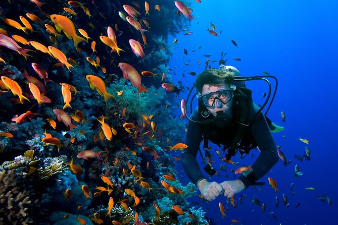 Pattaya Padi DSD (Beginner Diver) - Accessibility and Transportation