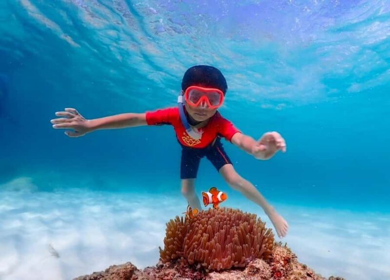 Pattaya: Private Speedboat Nemo Island with Snorkel & BBQ - FAQ