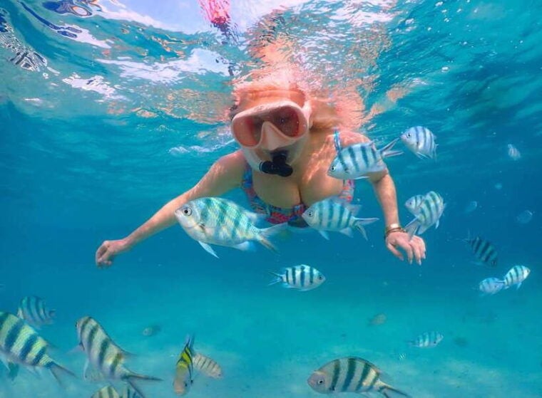 Pattaya: Private Speedboat to Nemo Island With Snorkel & BBQ - Customer Feedback