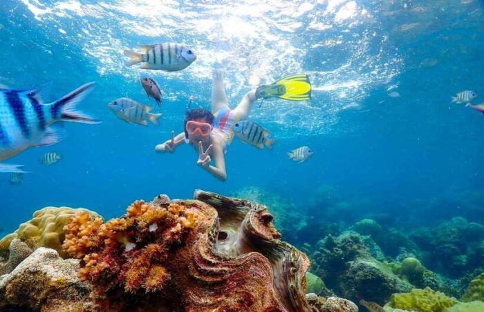 Pattaya: Private Speedboat to Nemo Island With Snorkel & BBQ - Fishing and Barbecue at the Beach