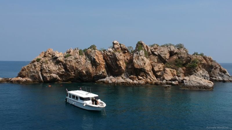 Pattayas Dive Extravaganza: Full-Day Adventure with PADI 5* Center - Who should book this trip?