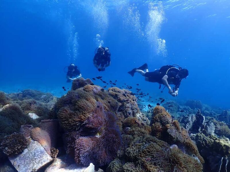 Pattaya: Snorkeling and Scuba Diving (For First Timer) - FAQ