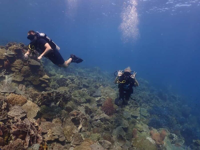 Pattaya: Snorkeling and Scuba Diving (For First Timer) - Final Thoughts