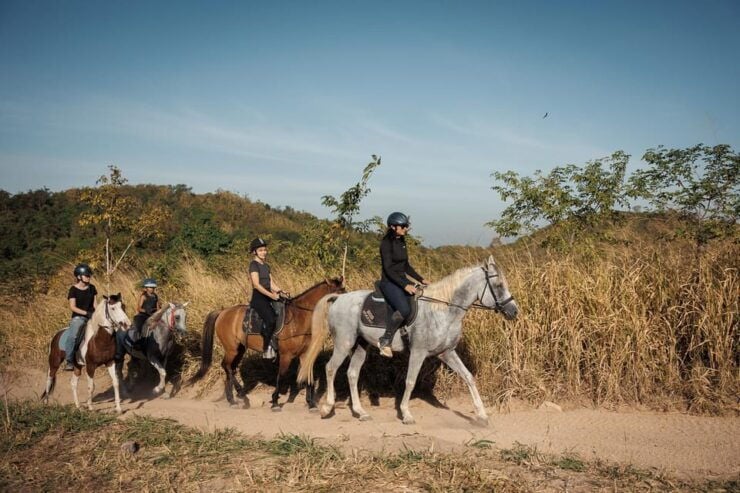 Pattaya, Thailand: Experience Scenic Horse Trail Riding - Key Points