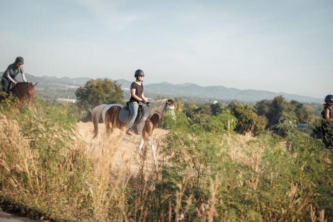 Pattaya, Thailand: Experience Scenic Horse Trail Riding - Inclusions in Your Package