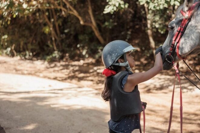 Pattaya, Thailand: Experience Scenic Horse Trail Riding - Customer Reviews and Ratings