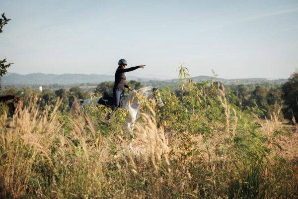 Pattaya, Thailand: Experience Scenic Horse Trail Riding - Pricing and Booking Information