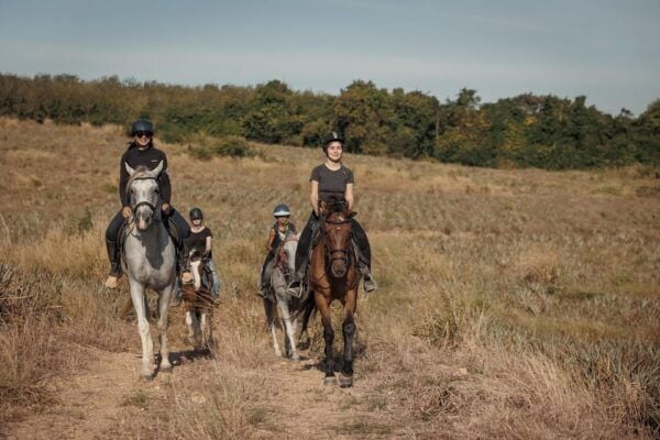 Pattaya, Thailand: Experience Scenic Horse Trail Riding - Tips for a Great Experience