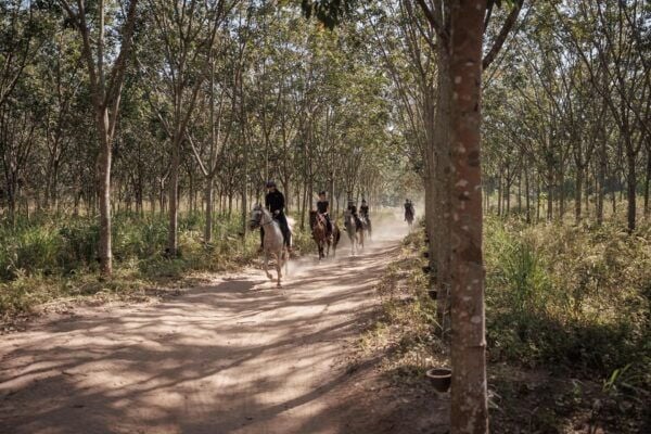 Pattaya, Thailand: Experience Scenic Horse Trail Riding - Questions You May Have