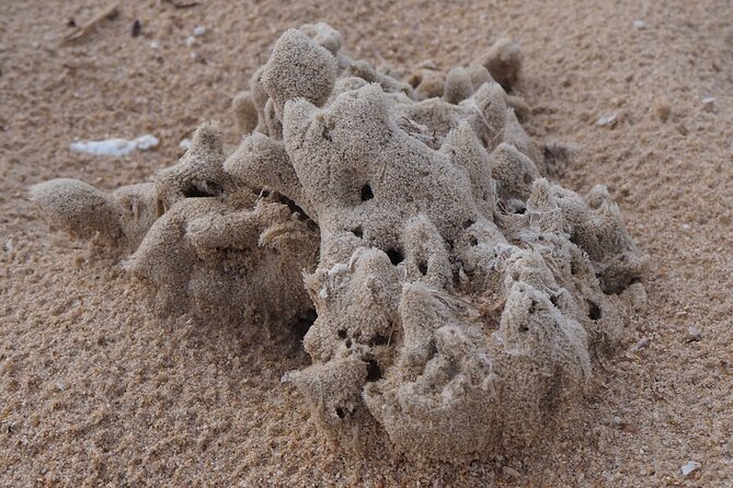 Pattaya to Kampaengphet - Price and Availability