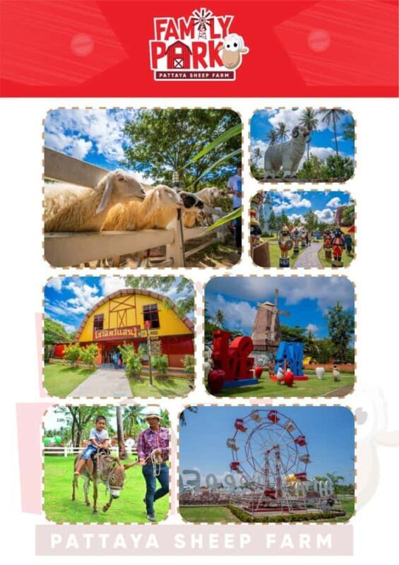 Pattaya Tour  City tour & Top Sights Customizeable - FAQ